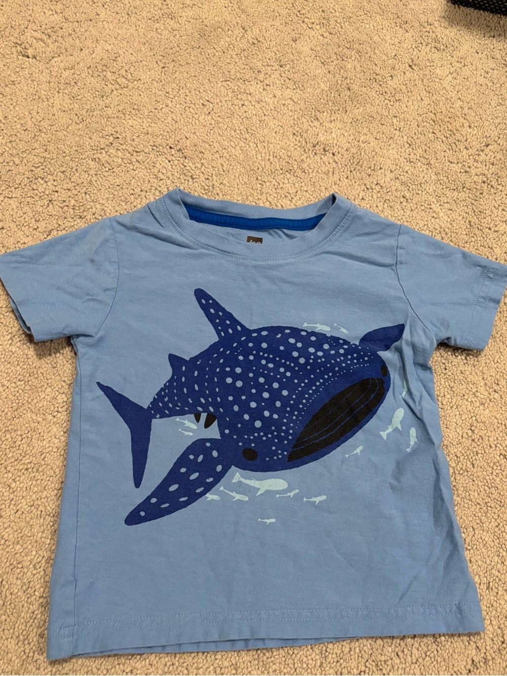 Tea Collection Blue Whale Shark Graphic Kids T-Shirt